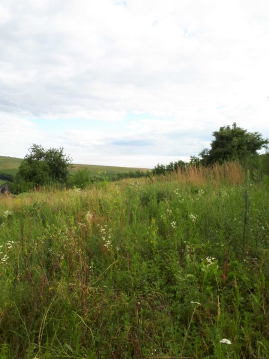 Vand teren n sat Rediu, 19 km fata de Cluj, 38 euro/mp, 88.000 euro