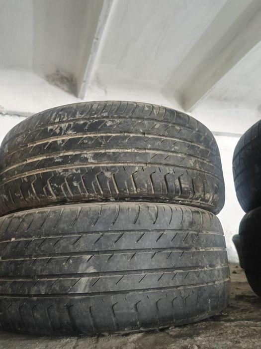 Резина Triangle Sport