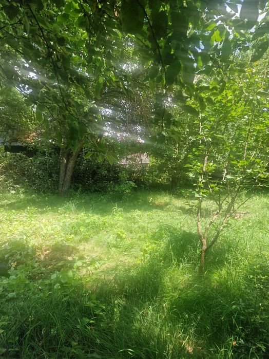 Продава се Къща в с. Ковачевци, Област Перник - 160 кв.м за 478 €/кв.м - Снимка #3