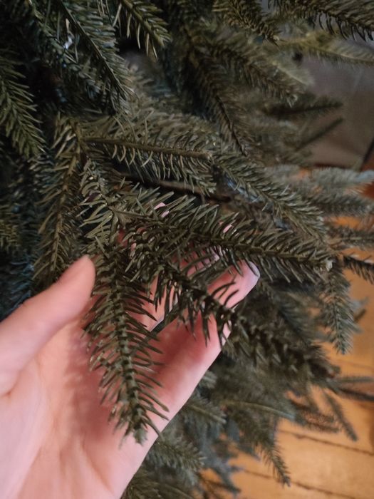 продам Ёлки в нормальном состоянии