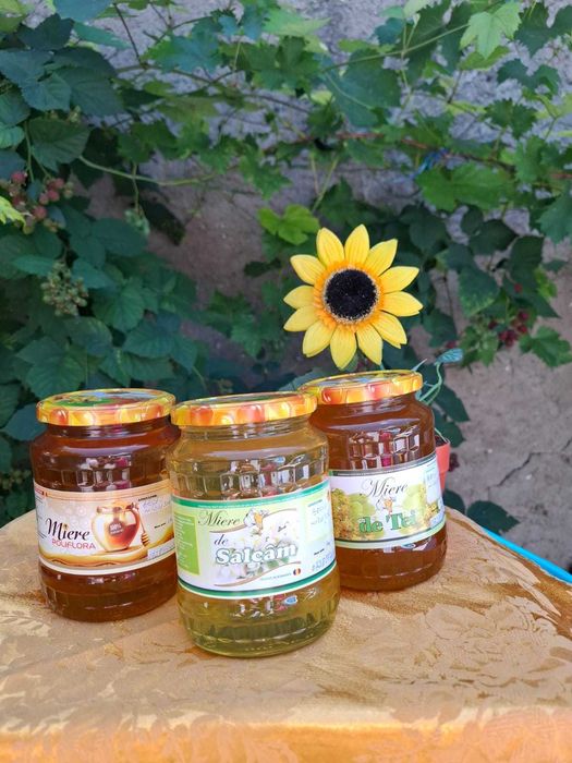 Vand miere de albine si stupi,in conditii excelente.