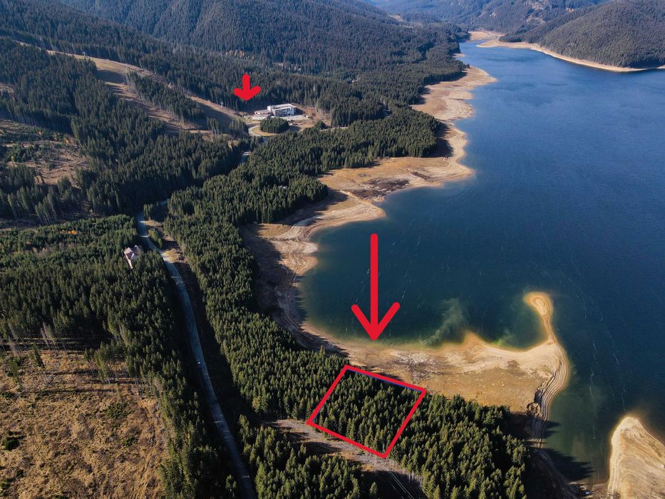 TEREN INTRAVILAN VOINEASA -Domeniul Schiabil Transalpina Obarsia