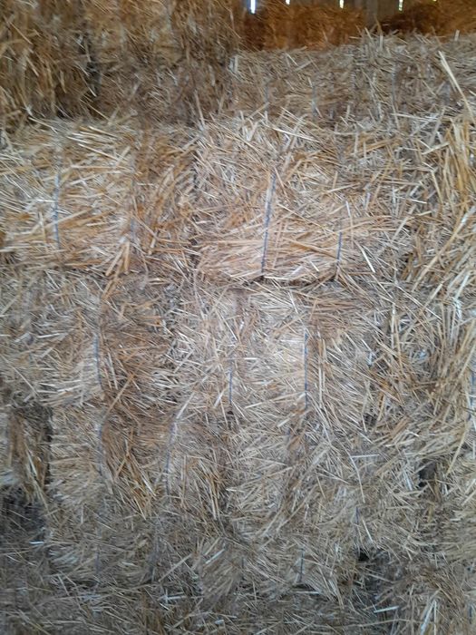 Vând  baloti de paie de grâu  și de ovăz