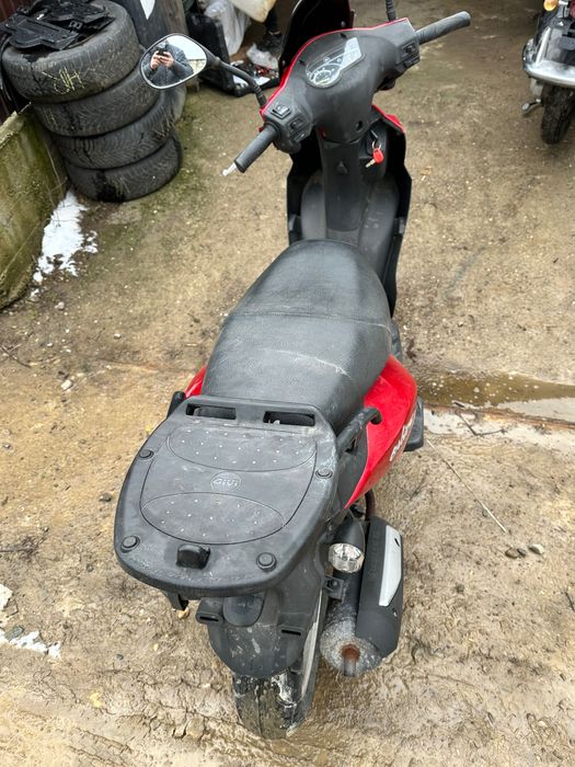 SYM 50 cm / 2400 LEI