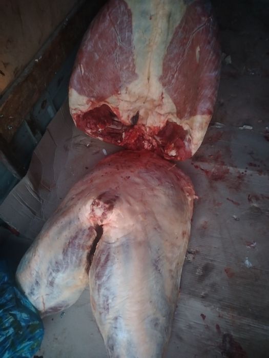 Конина Мясо Байтал