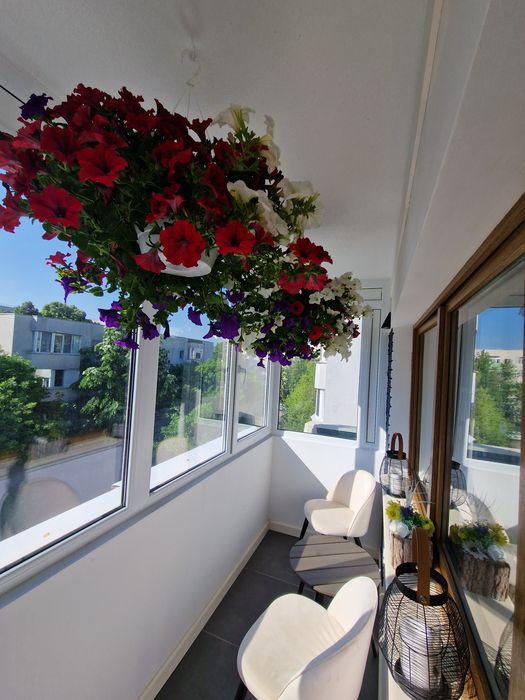 Apartament 4 cam Aviatiei / Aurel Vlaicu
