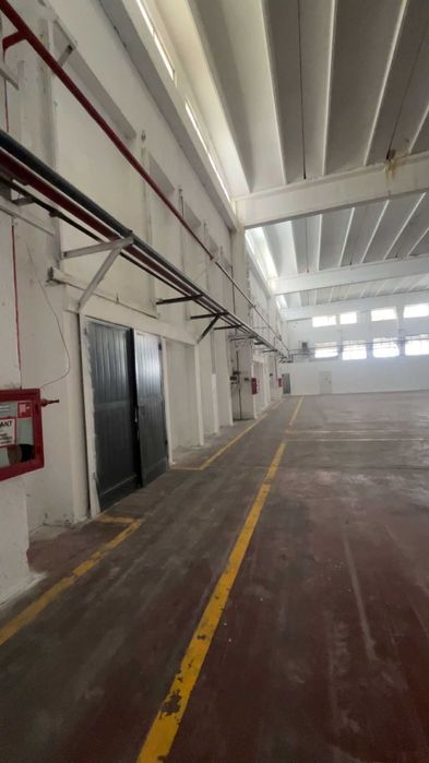 Oferta Hala / Depozit de inchiriat