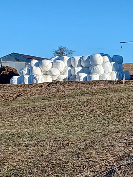 Baloti Lucernă campanie 2025