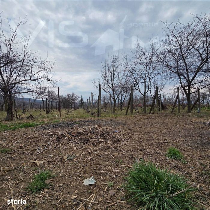 Casă de vânzare în Deleni