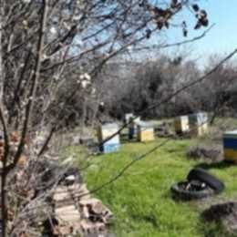 УПИ с постройки в с.Оряховица