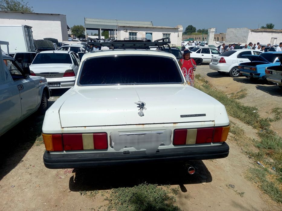 Volga 31029 oq rangda