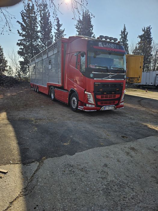 Transport animale vii