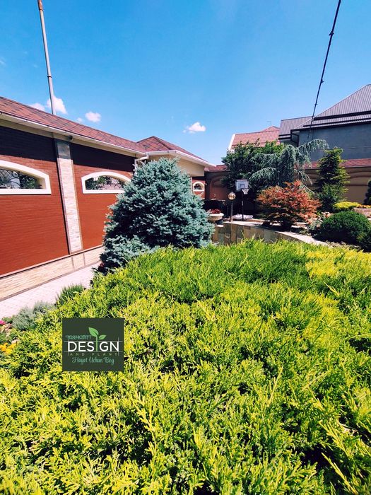 Ландшафт - Озелениение, проект реализации