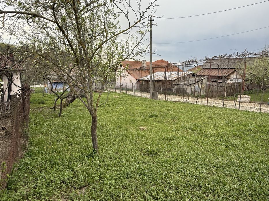 Casă bătrânească + teren