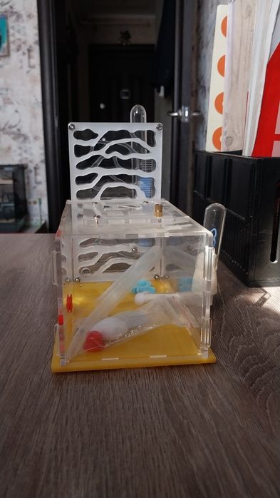 Муравьиная ферма.