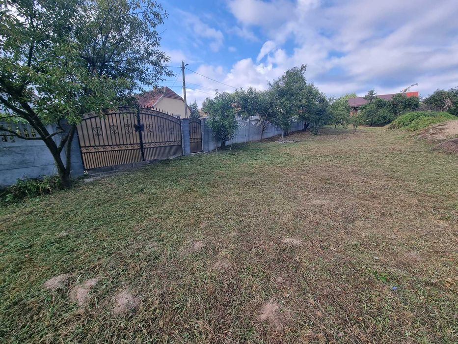 Anunț de Vânzare – Teren în Viile Satu Mare ​Titlu: Teren Ideal pentru Construcție – Strada Libertății nr. 4