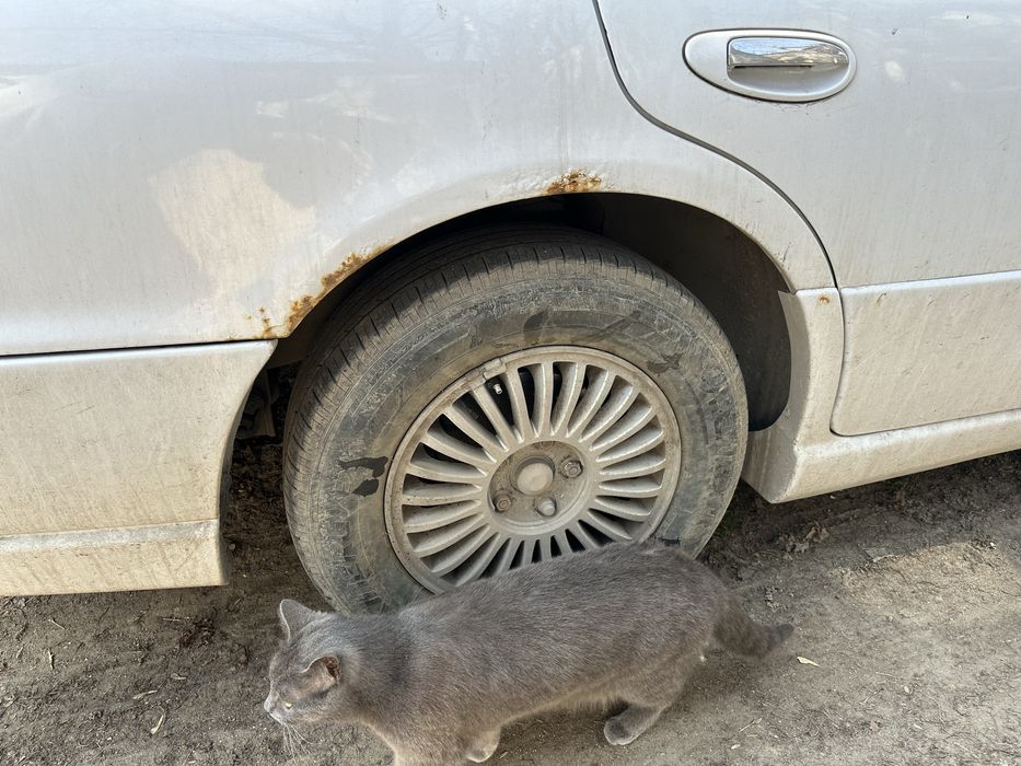 Nissan cefiro 1997 год 2,5