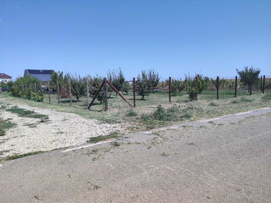 Teren intravilan 733 m², desch 22 m – str. Sportului (asfalt), Ulmi