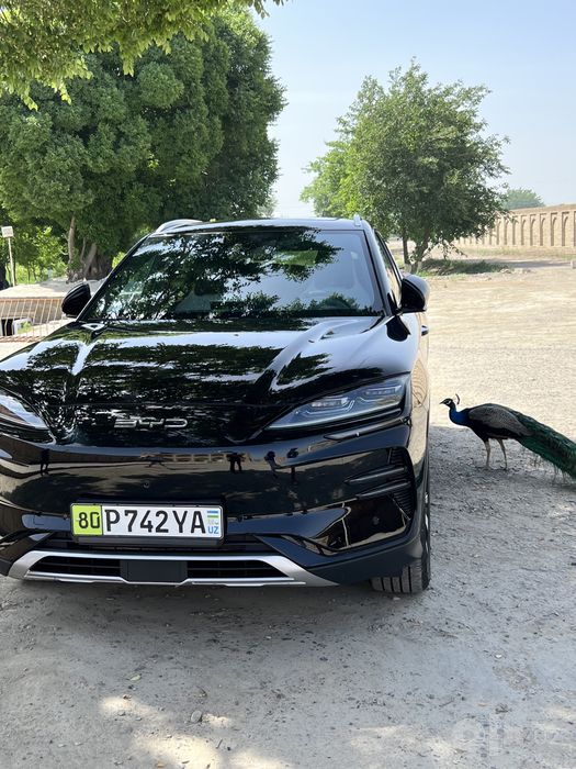 BYD CHempion на заказ 50$