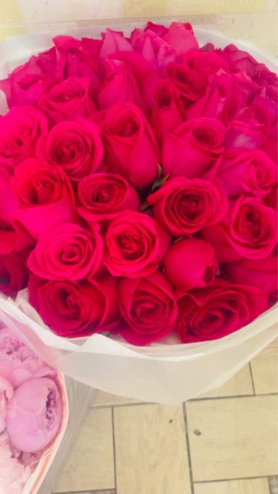 Продам розы 51 шт