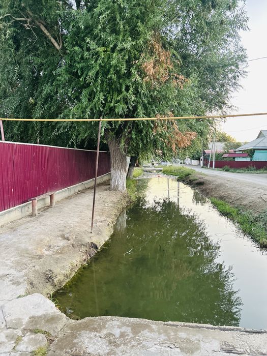 Уй сатылады Шанхай