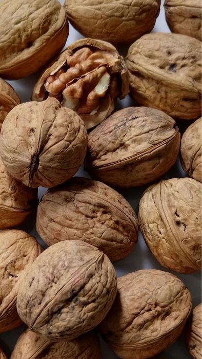 Продам грецкие орехи!