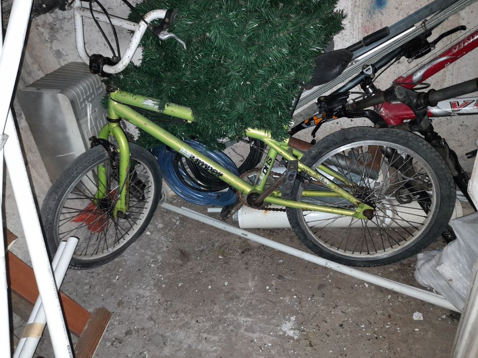 Vând biciclete pentru colecționari