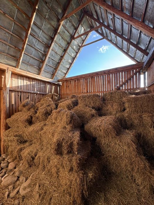 Vand baloti de otavă