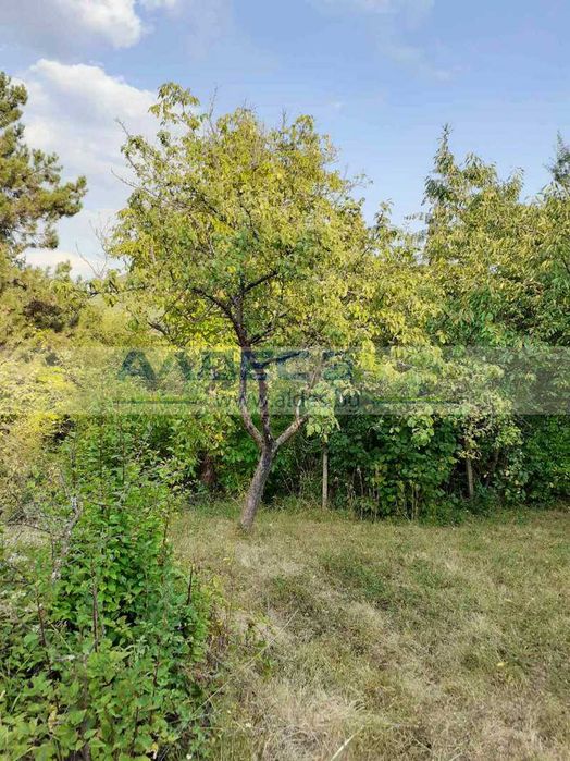 Продава се поземлен имот в с. Макоцево!