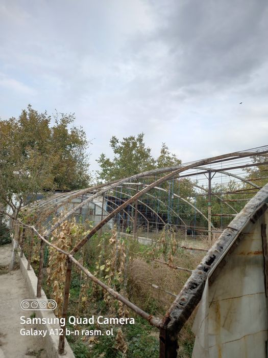 Teplitsa sotiladi. Hamma narsasi bilan