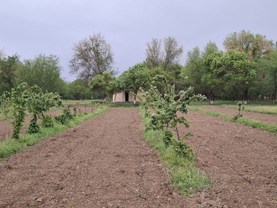 Oqoltin tumanida sotuvdagi yer