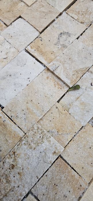 Piatră naturală dimensionată