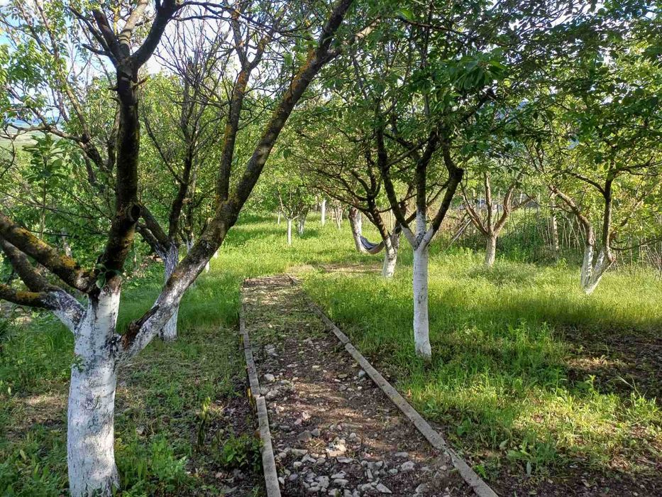 Продава се Къща в Търговище, Вилна зона - 30 кв.м за 510 €/кв.м - Снимка #4