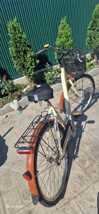 Bicicleta dama vintage