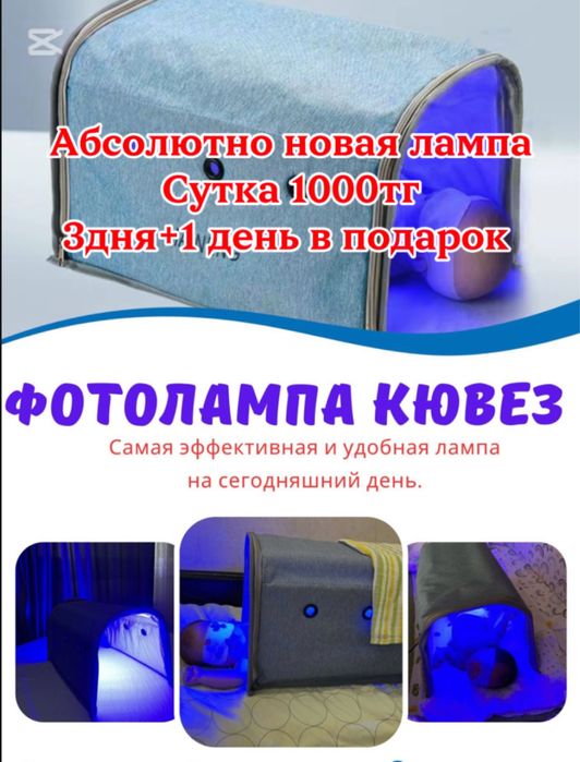 Кувез лампа, самая эффективная фотолампа в аренду