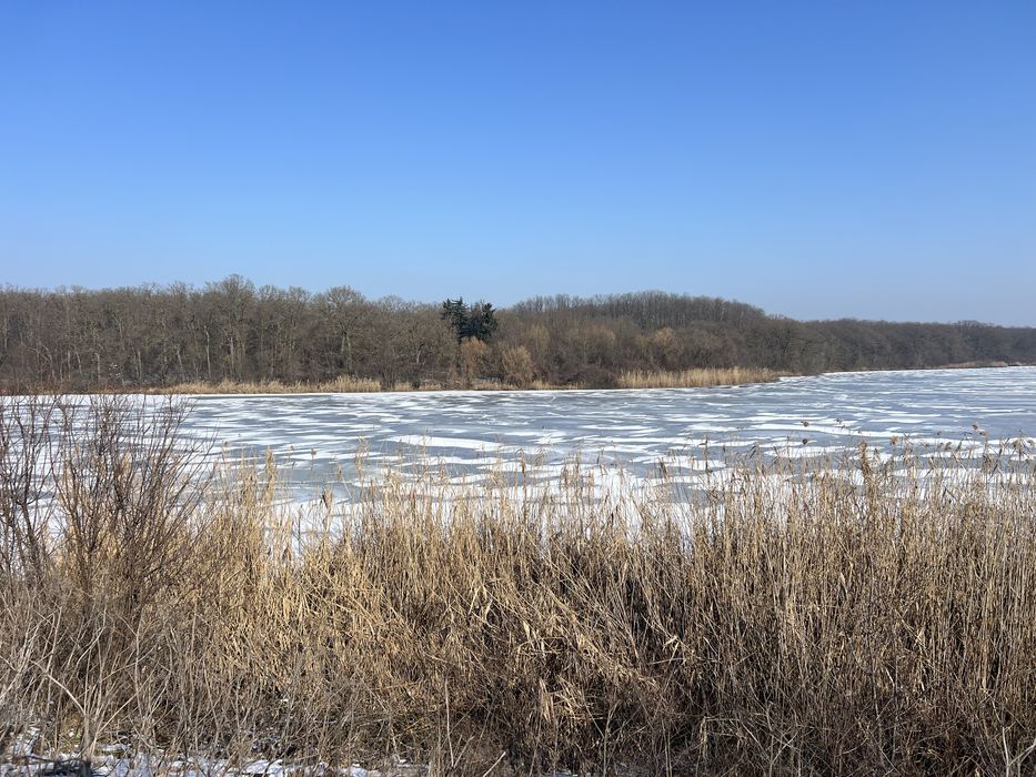 Teren Gradistea lac Caldarusani