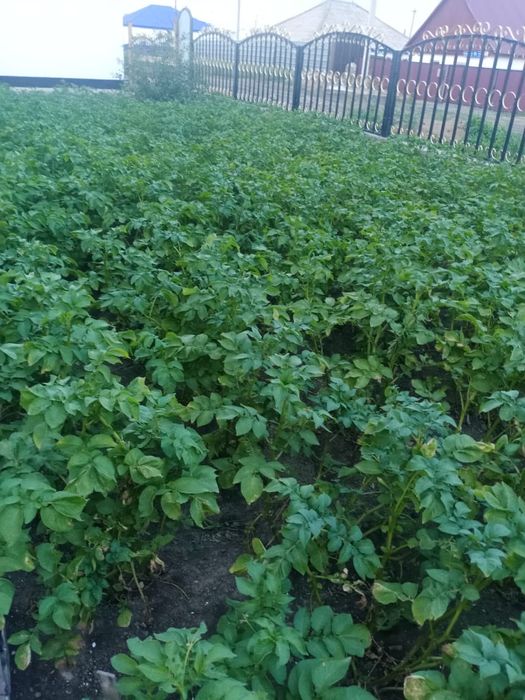 Продам уютный дом