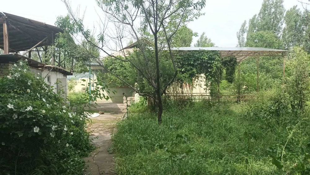 Продается дом Бостонлыкский район