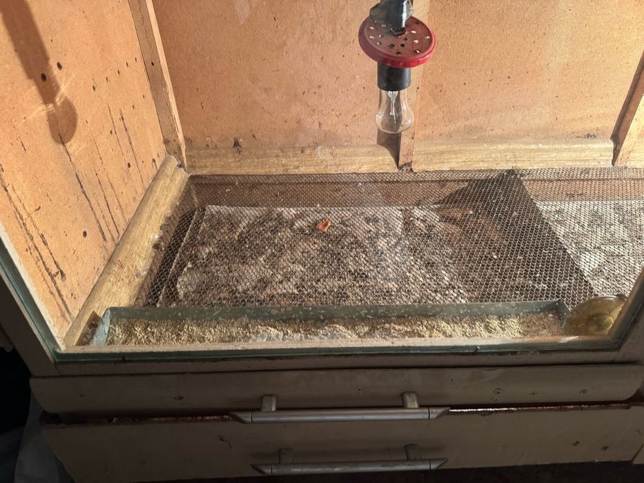 Брудер и сетка для цыплят