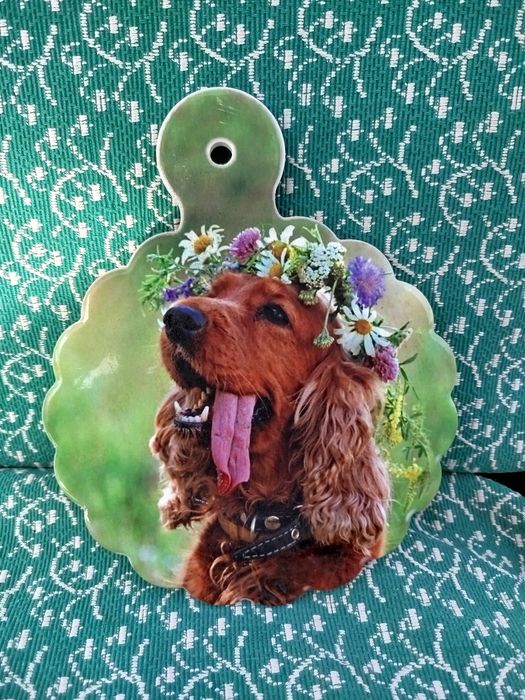 Кухонные сувенирные досточки