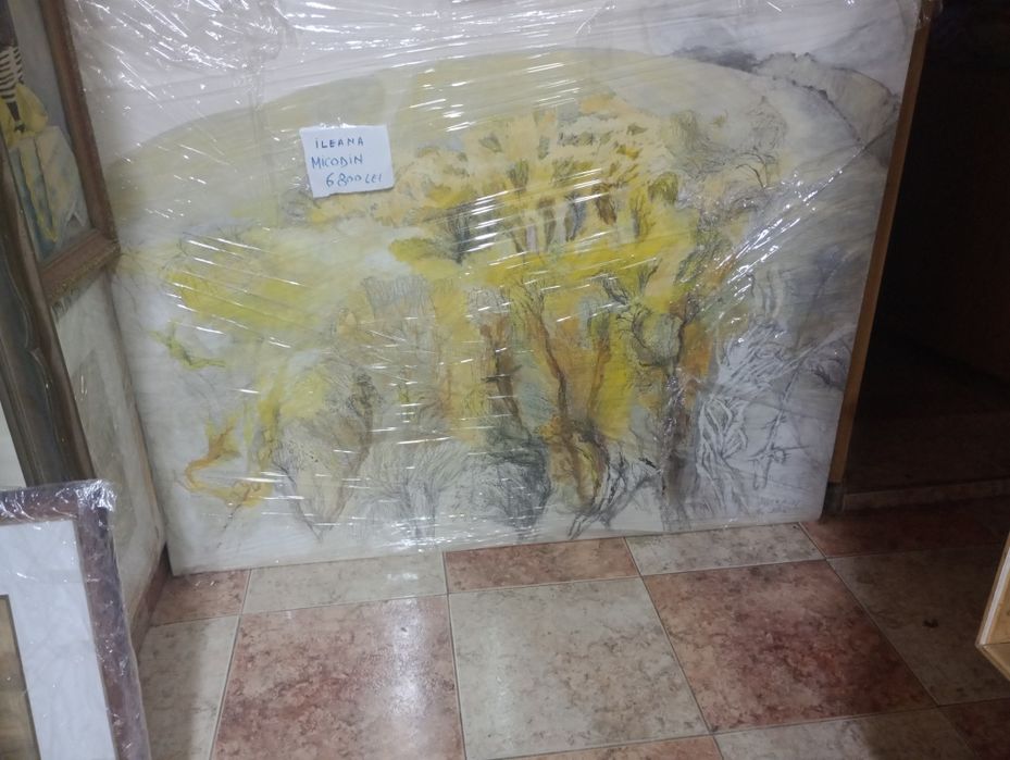 Tabloui.Sabina Negulescu Florian.Ileana Micodin.