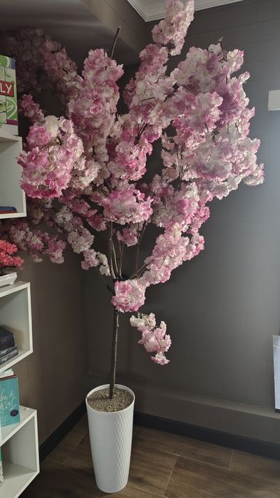 Декоративные деревья