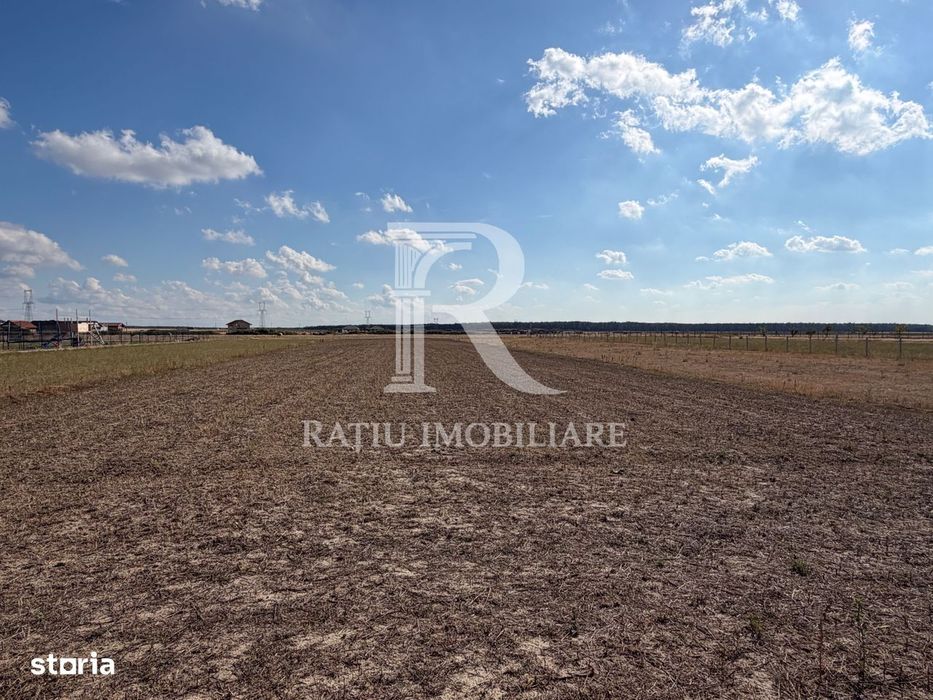 Casă cu livadă, grădină și anexe, | Les | Oradea