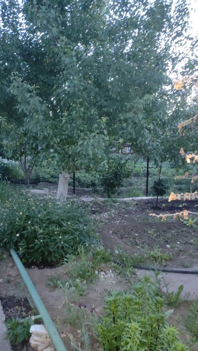 Дача ФАКЕЛ  продается