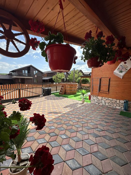 Cabana Dragula Baile Figa