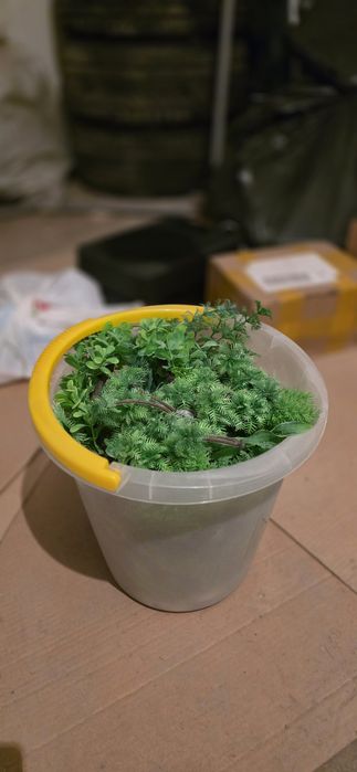 Изкуствена трева за аквариум