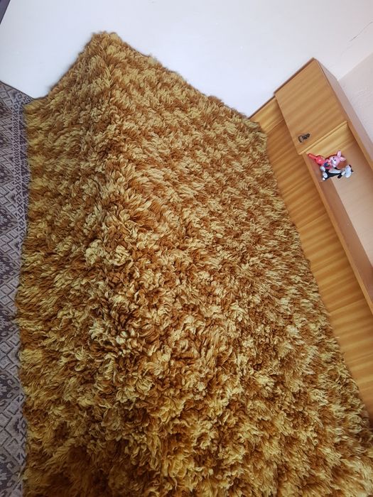 Нови вълнени китеници