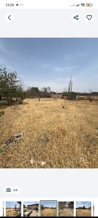 Продам срочно дачк