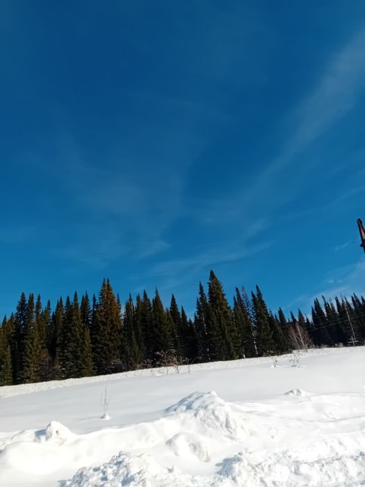 Сдаётся дом в деревне для отдыха