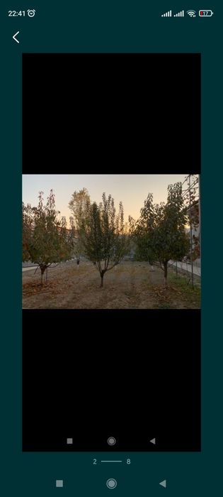 Sadovnik bogʻbon xizmati